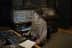 2024-03-21_studio_day_14_144
