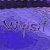 New_wyisit_logo