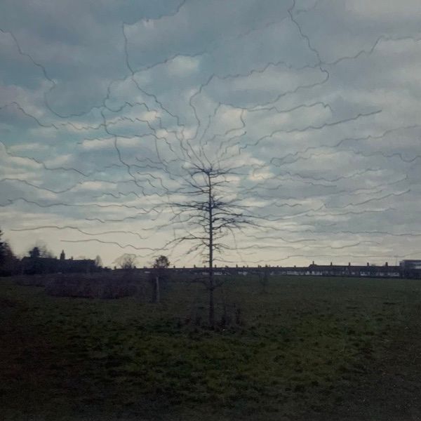 In the Isotherm by Polexia thumbnail
