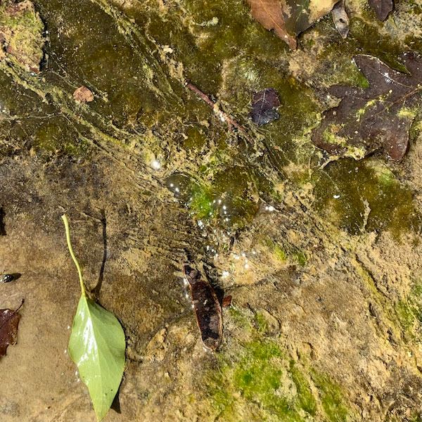 All Terrain by Laboratorio Palestro thumbnail