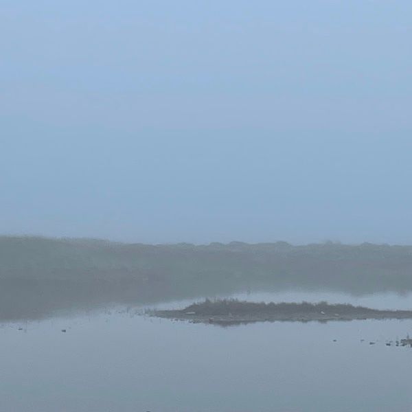 Ambient Park: welcome to the park by Markus Lipsoe thumbnail