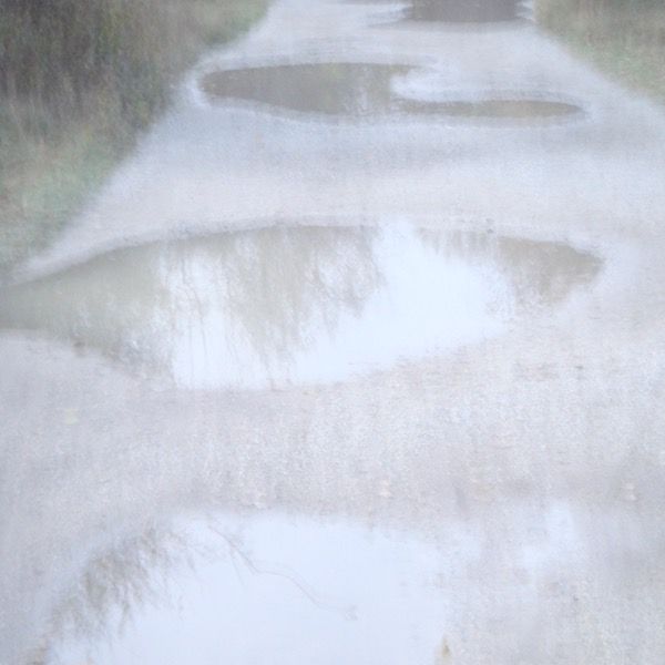 hiding in the puddle by Josefine Ehs thumbnail
