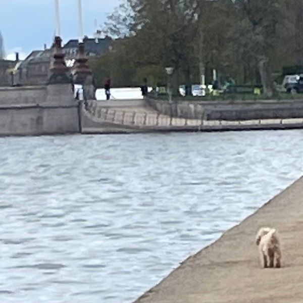 a lightyear is a distance: mixtape 4 goodbye by agnes olander thumbnail