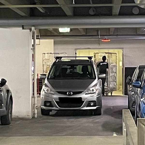 TRANSPORT by agnes olander thumbnail