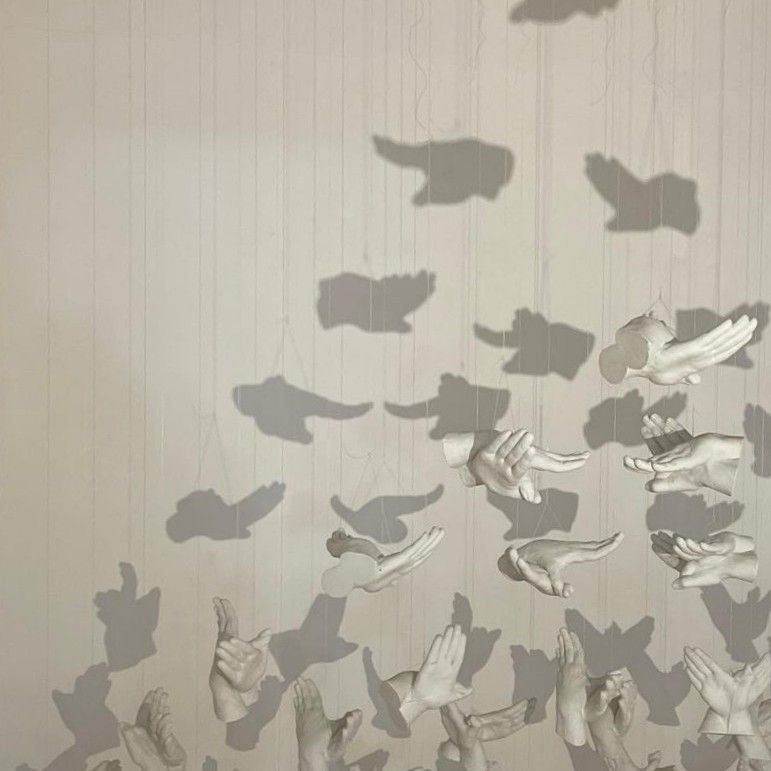 Ornithologie by James Graham thumbnail