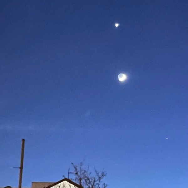 TRANSPORT by agnes olander thumbnail