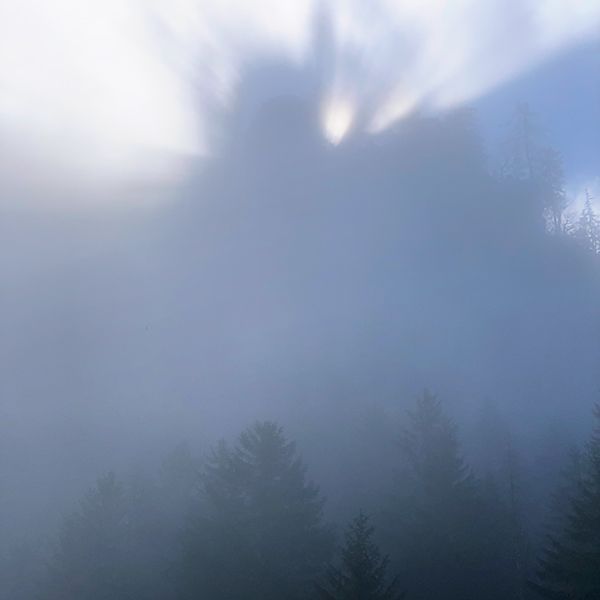 In the Fog by Martin Bagnol thumbnail