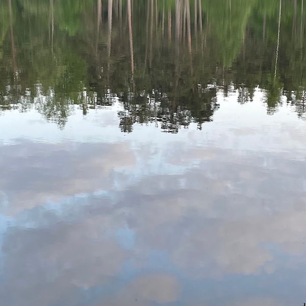 TRANSPORT by agnes olander thumbnail