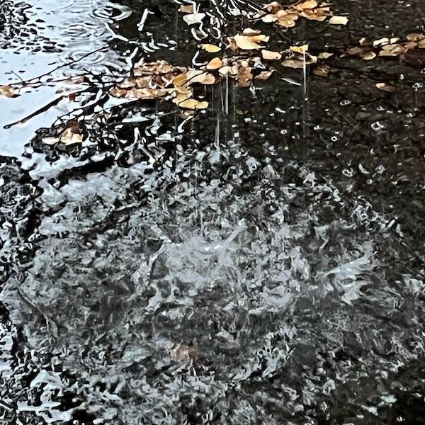 TRANSPORT by agnes olander thumbnail