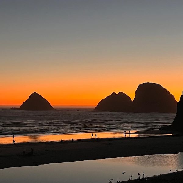 laterWAVes by Serena Powers thumbnail