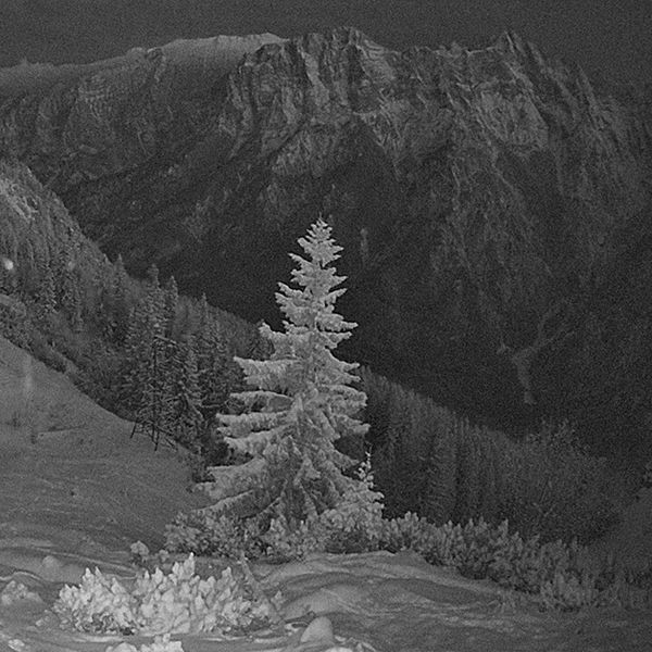 In the Fog by Martin Bagnol thumbnail