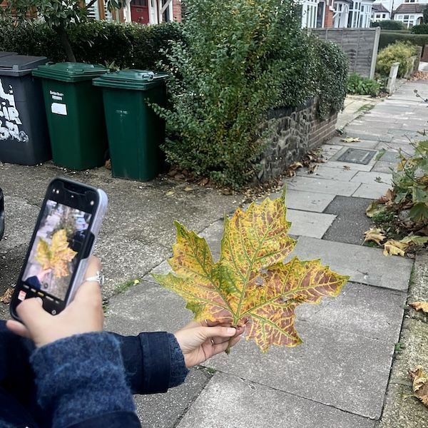 Ebb and Flow by Jen & Alfie thumbnail