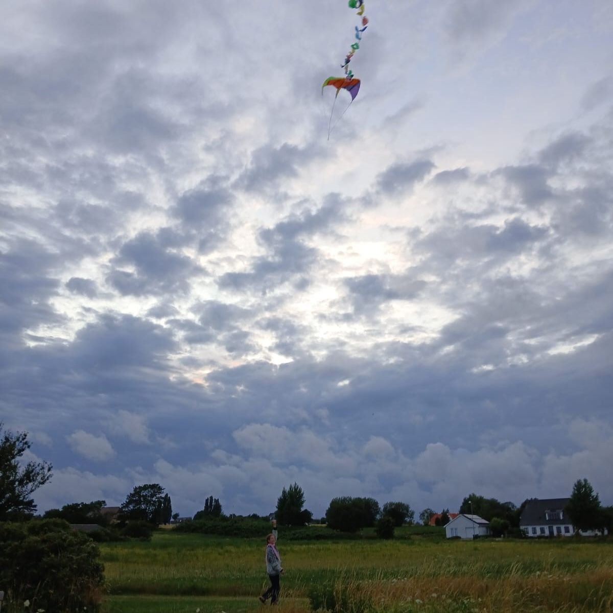 how to build a kite by Miro Hansen thumbnail