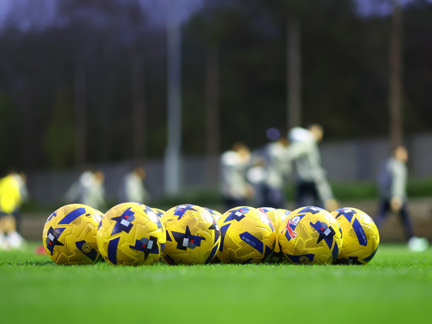 20251124_SFC_Training_019_ftficc