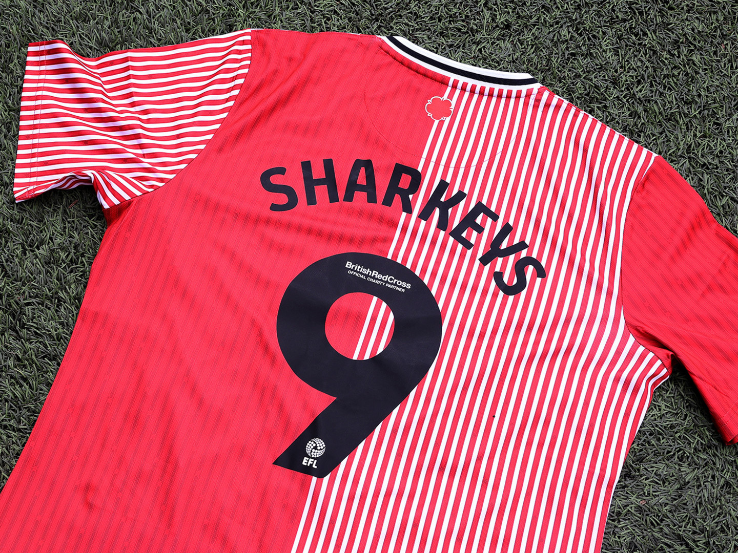 Sharkeys_hero_image_c04nk4