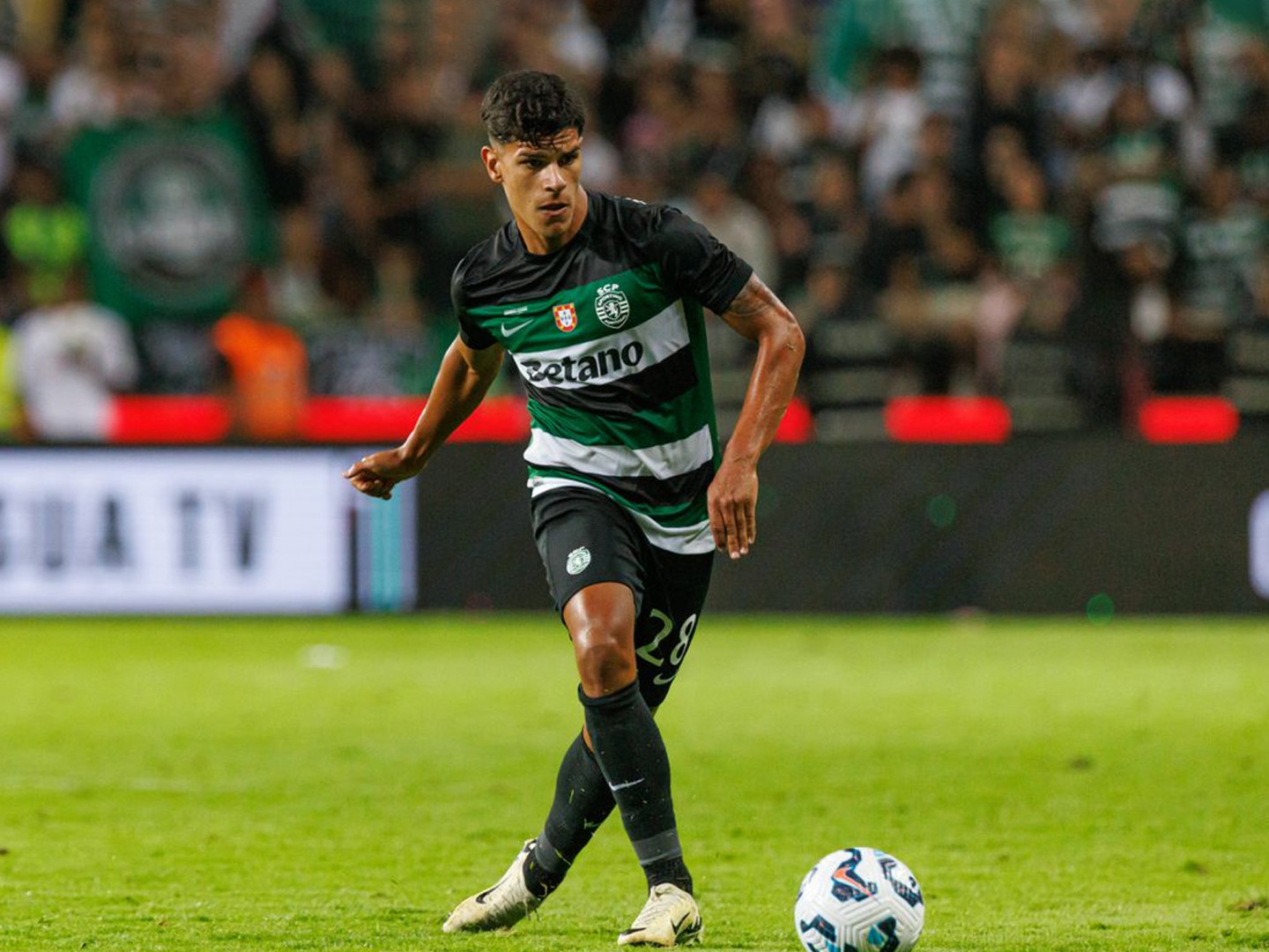 2024-25/Signings/Mateus Fernandes/Mateus_Fernandes_Sporting_Thumbnail_1_bgj77h