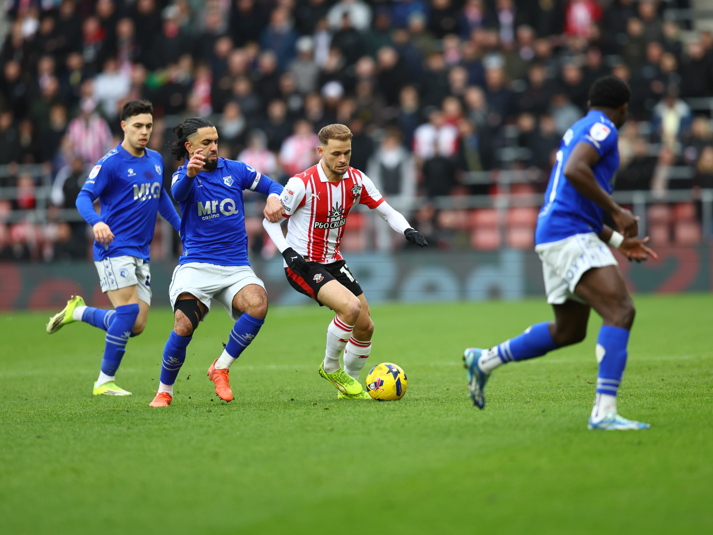 Live Matchday Images/2025-26/20260207 Southampton vs Watford/0E3A3901_e3xhmm