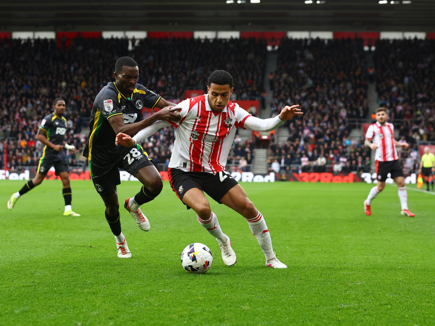 Live Matchday Images/2025-26/20260221 Southampton vs Charlton Athletic/106A8101_nkBgejhO_20260221033911_lz7kll