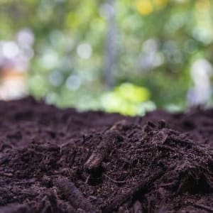 Black Dyed Mulch - Gallery