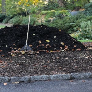 Premium Topsoil - Gallery