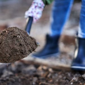 Topsoil-Compost Blend - Gallery