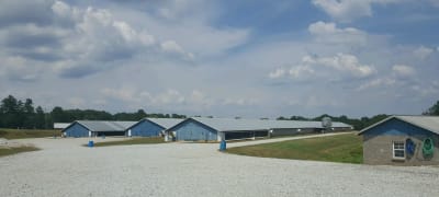 Commercial broiler farm