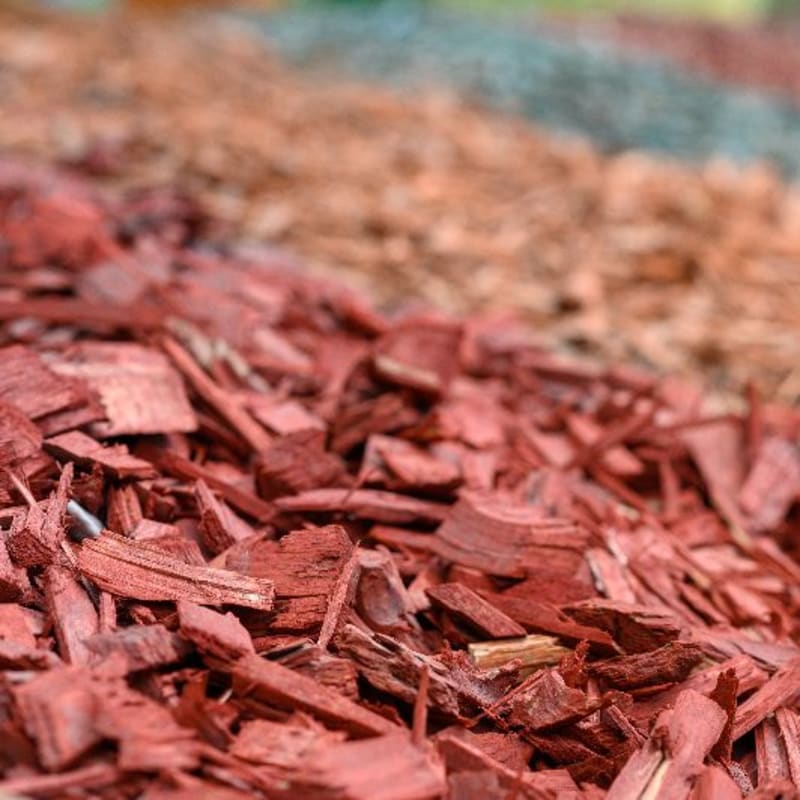 Red Dyed Mulch
