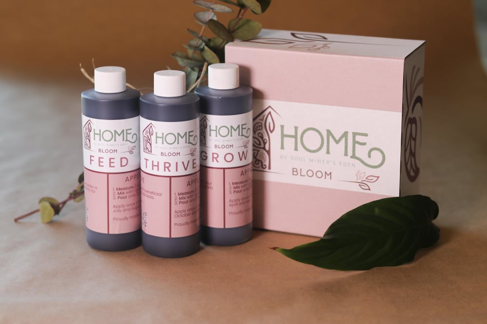 Bloom plant care