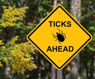 how to get rid of ticks in yard tick sign