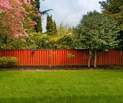 Fenced yard to prevent ticks