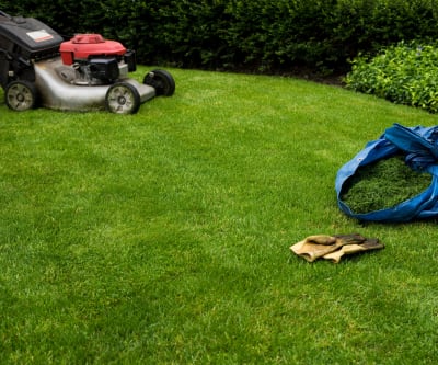 Lawn with grass clippings