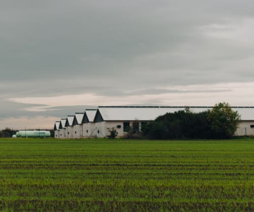 Poultry houses