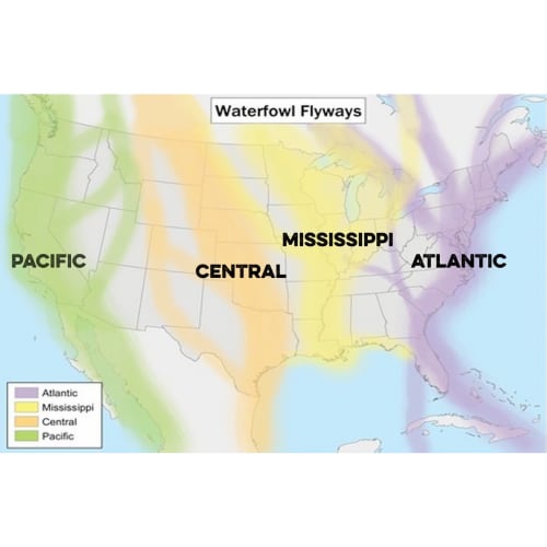 avian influenza in US flyway zones