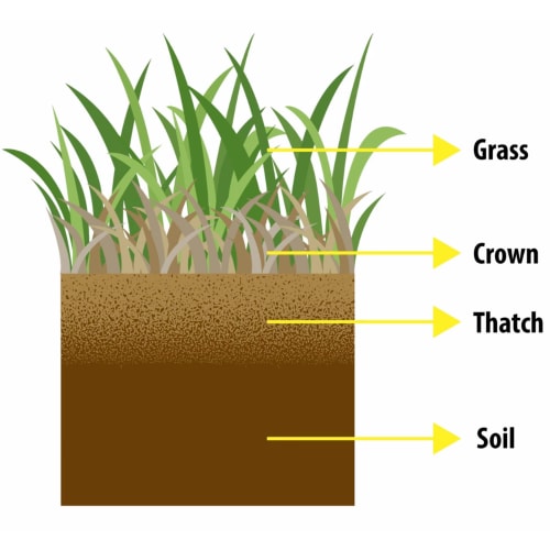 liquid aeration to reduce thatch