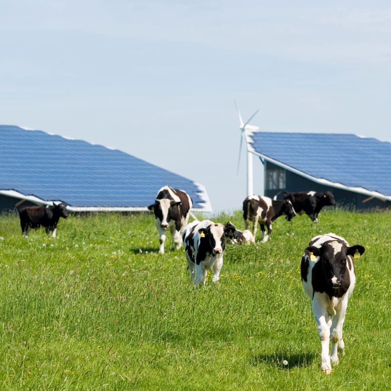 solar installation on farms