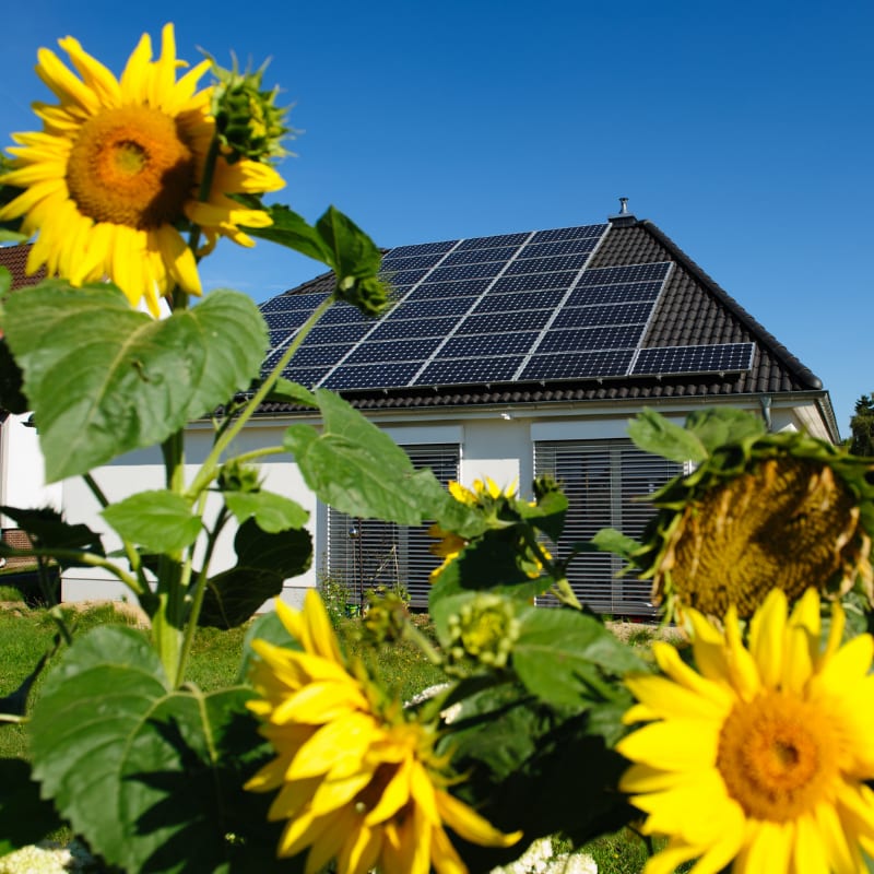 solar panels on farms