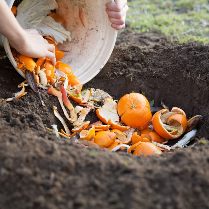 how to compost at home