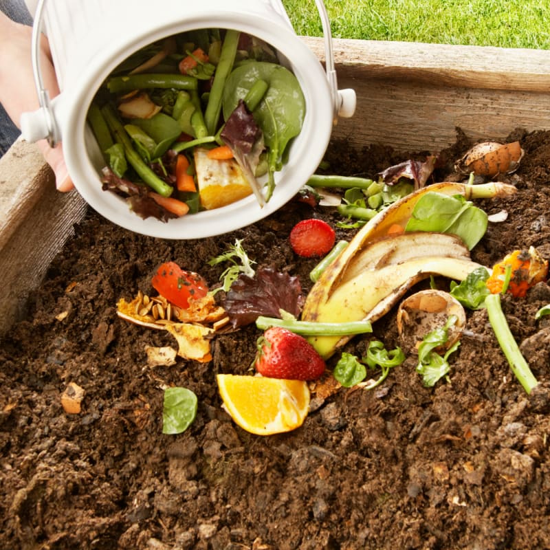 recipe for compost