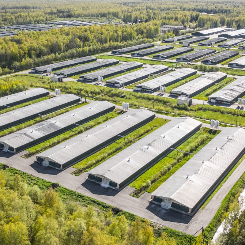 air velocity poultry farm