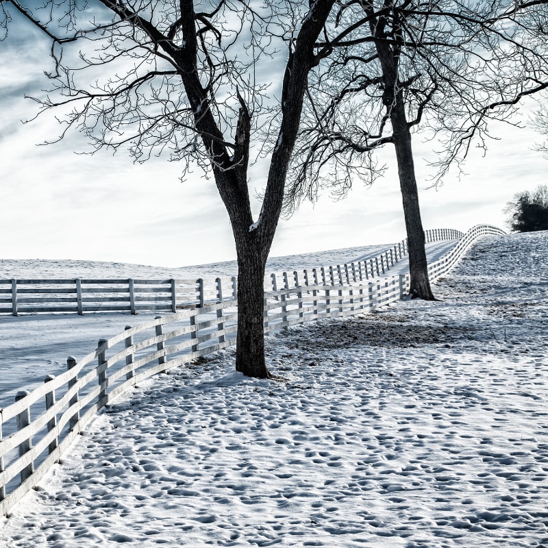 winter farm preparation