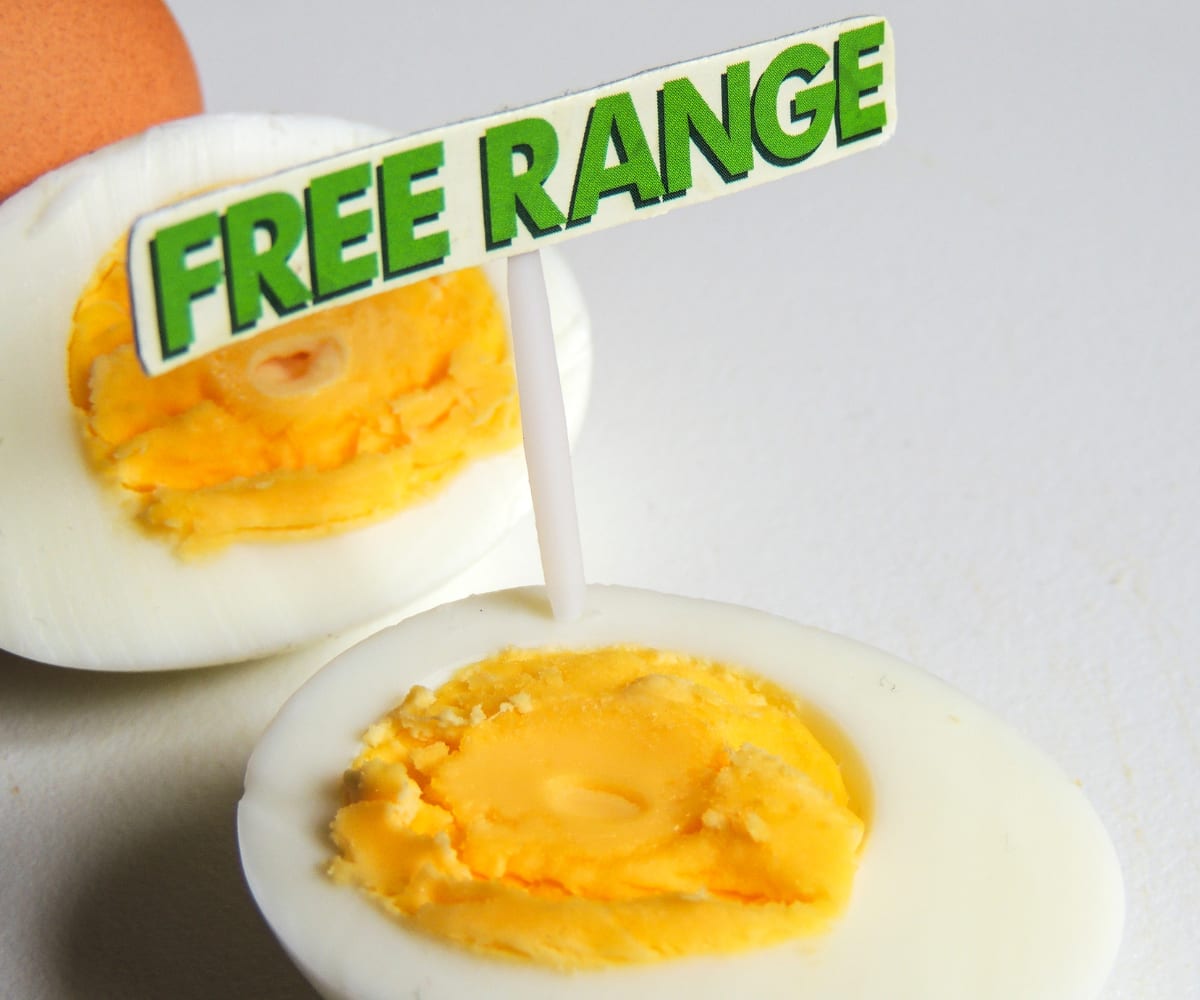 Eggs from free-range hens