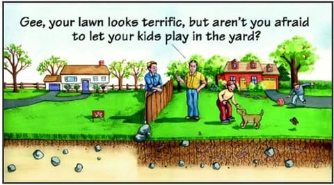 Conventional lawn care program vs. organic lawn care program comic