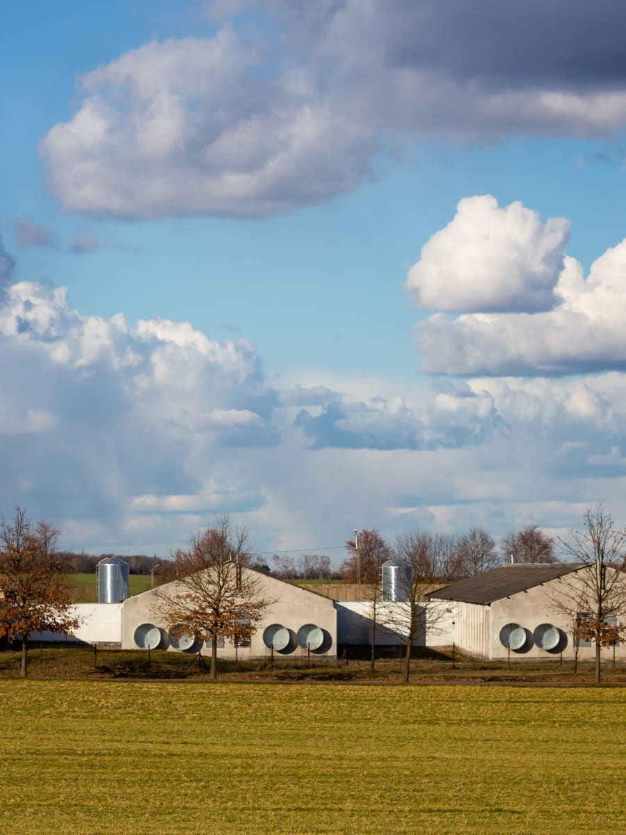 Bacterial disease prevention in poultry house