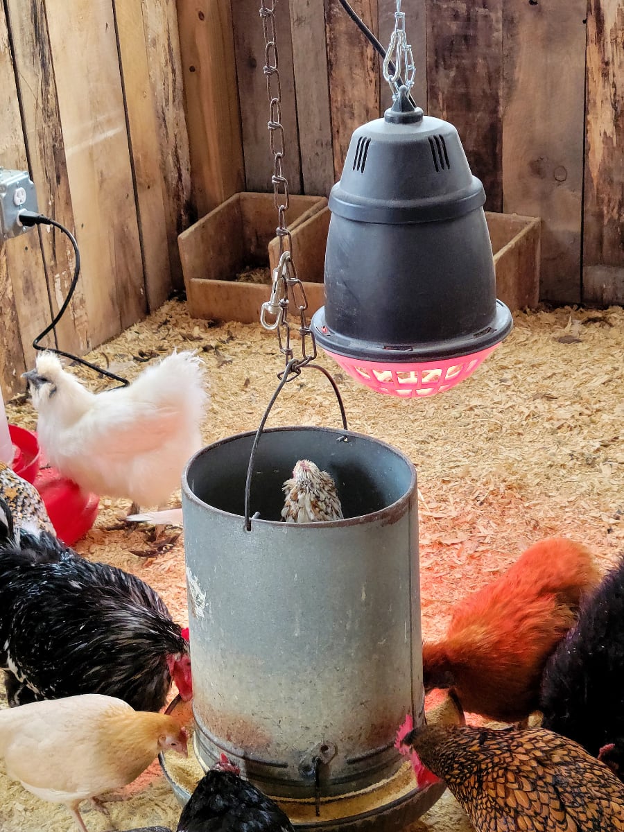 Heat lamp for increased body heat