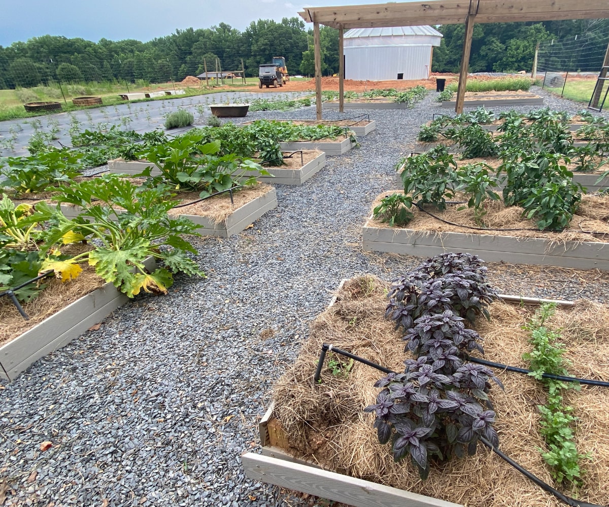 gardening with humates