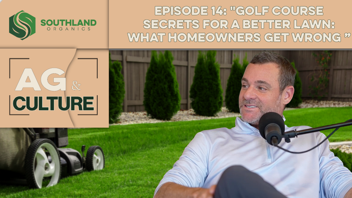 Episode 14: Episode 14: Golf Course Secrets for a Better Lawn: What Homeowners Get Wrong