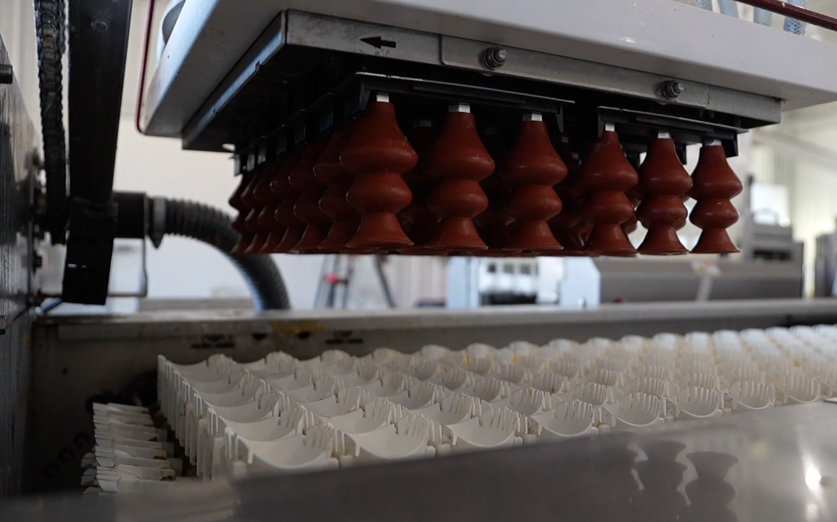 Automated egg packing system.png