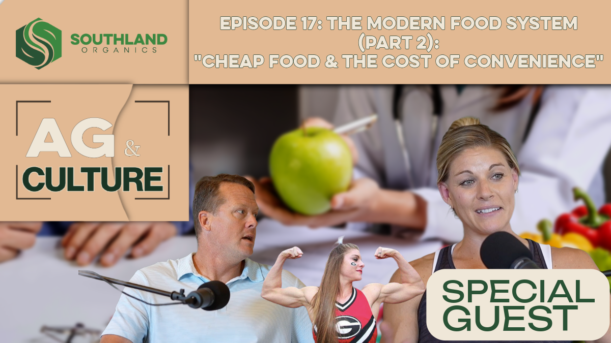 Episode 17: Episode 17: The Modern Food System Pt. 2 | Cheap Food, Fast Culture & The Cost of Convenience