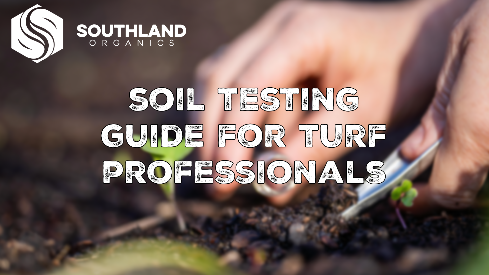 Soil Testing for Lawns: A Turf Pro Guide