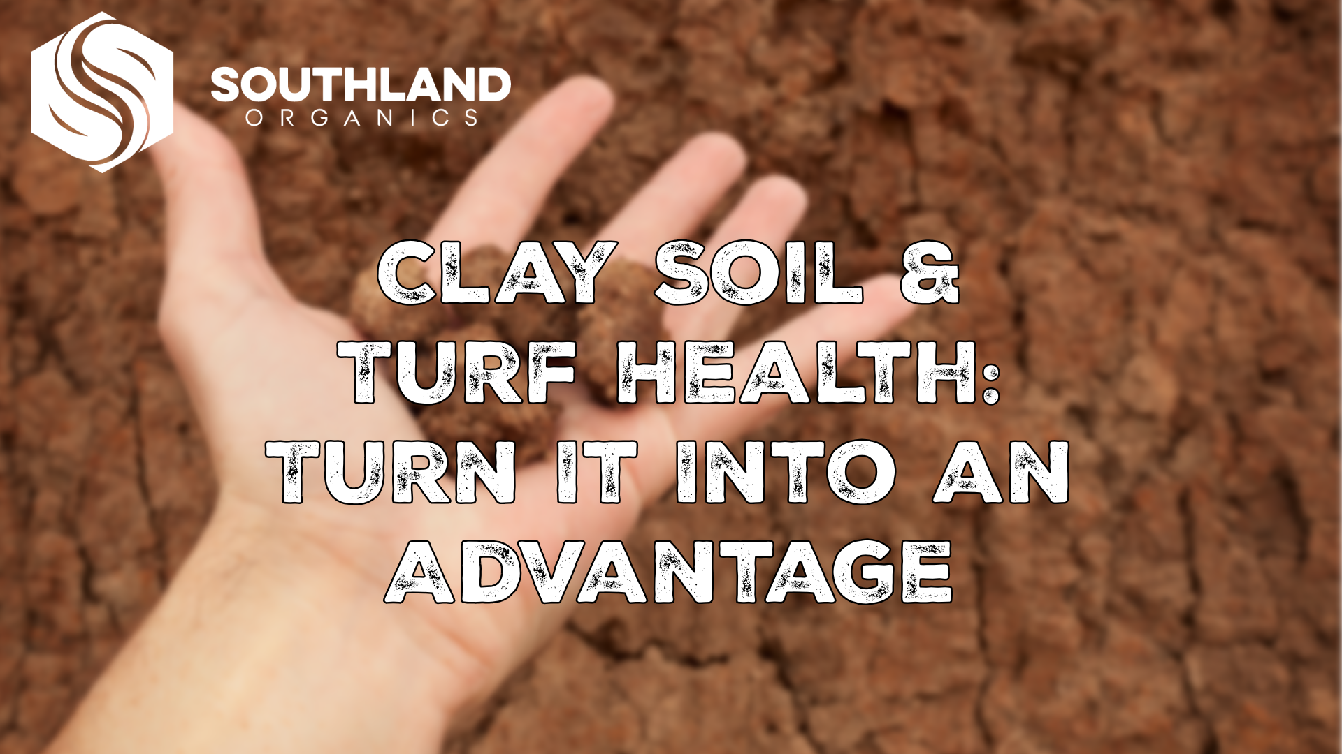 Clay Soil & Turf Health: Turn It Into an Advantage